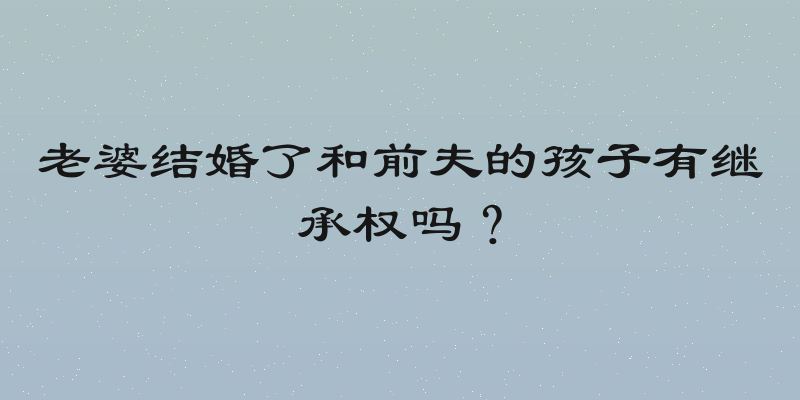 老婆结婚了和前夫的孩子有继承权吗？