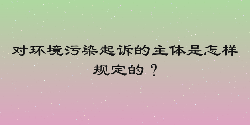 对环境污染起诉的主体是怎样规定的？