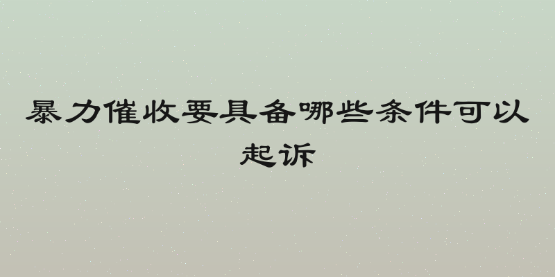 暴力催收要具备哪些条件可以起诉