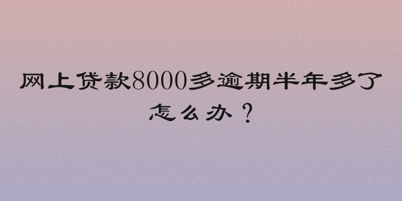 网上贷款8000多逾期半年多了怎么办？