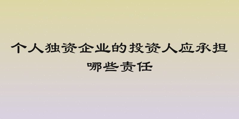 个人独资企业的投资人应承担哪些责任