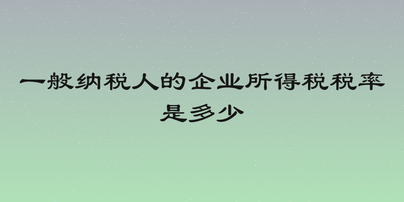 一般纳税人的企业所得税税率是多少