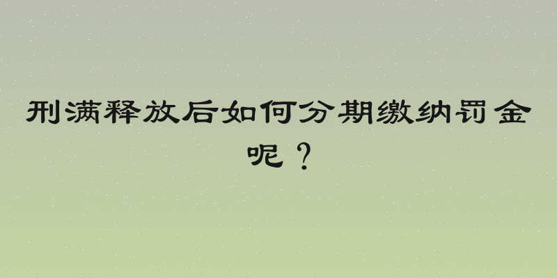 刑满释放后如何分期缴纳罚金呢？
