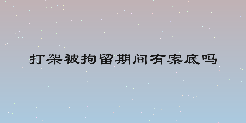 打架被拘留期间有案底吗
