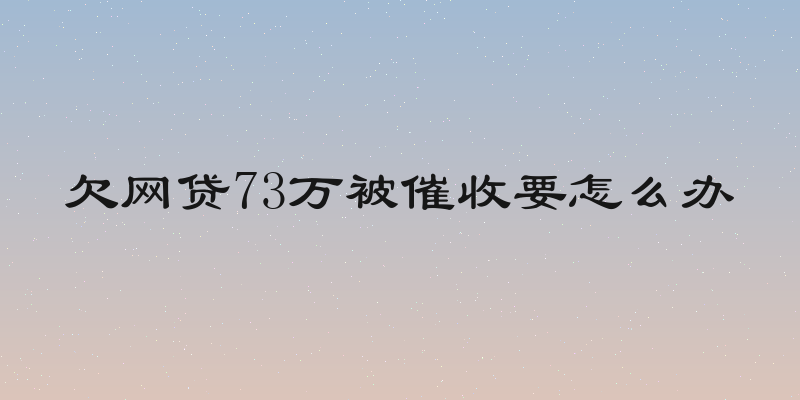 欠网贷73万被催收要怎么办