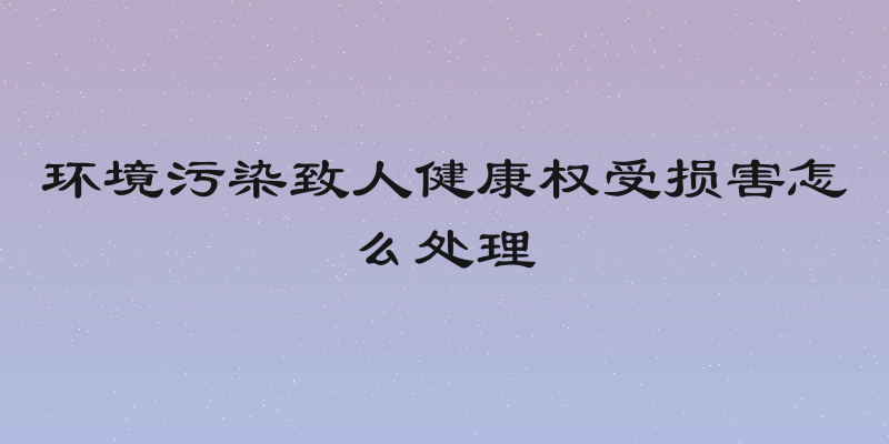 环境污染致人健康权受损害怎么处理