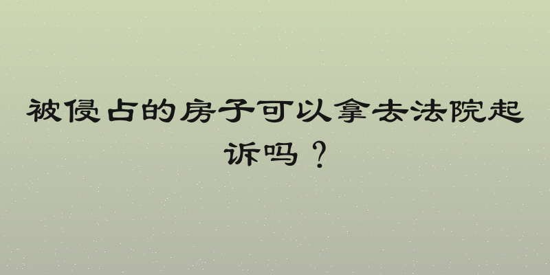 被侵占的房子可以拿去法院起诉吗？