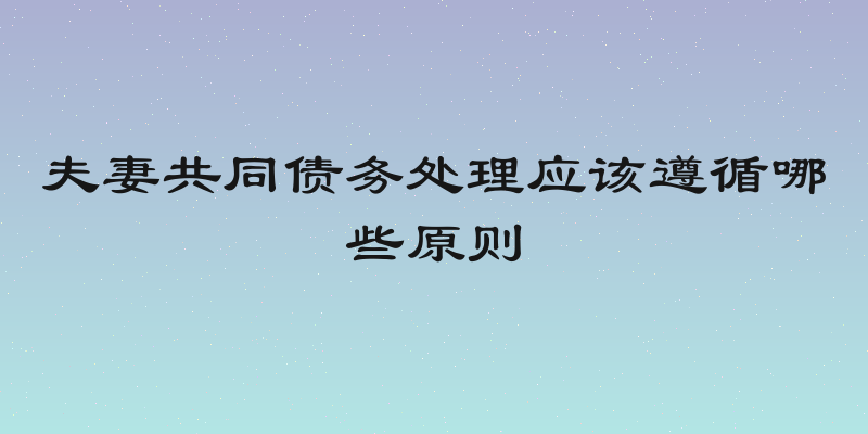 夫妻共同债务处理应该遵循哪些原则