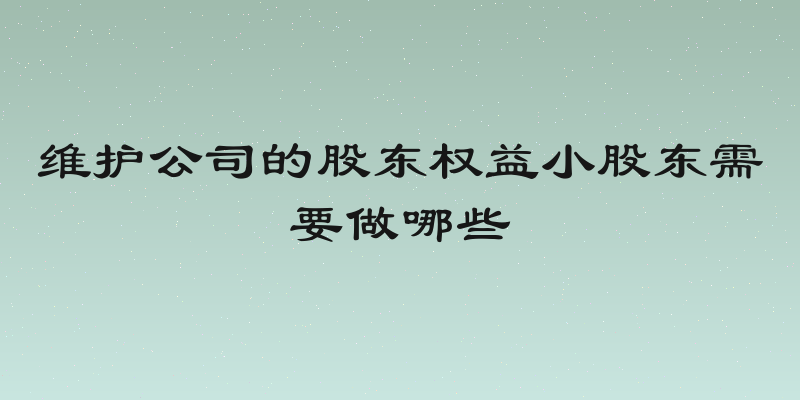 维护公司的股东权益小股东需要做哪些