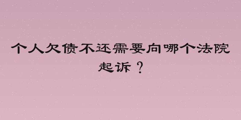 个人欠债不还需要向哪个法院起诉？