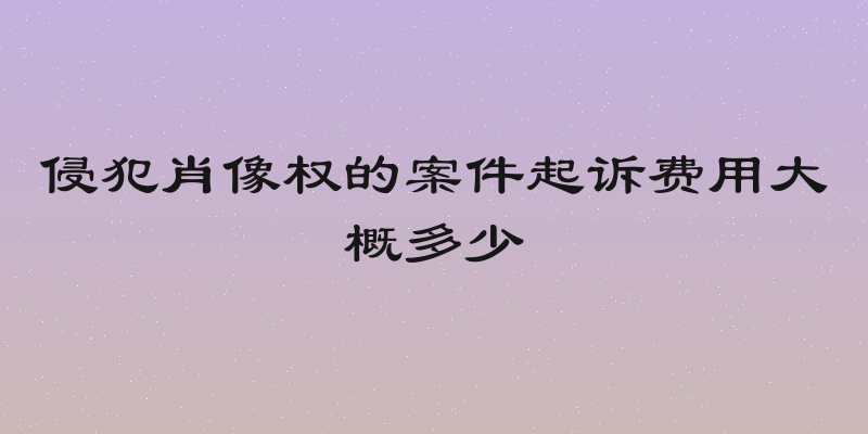 侵犯肖像权的案件起诉费用大概多少
