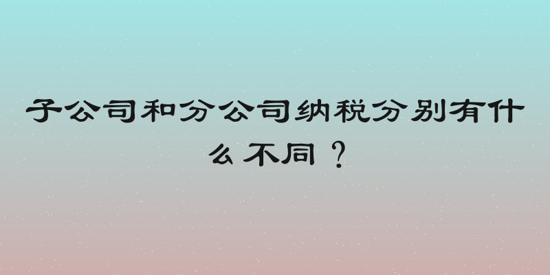 子公司和分公司纳税分别有什么不同？