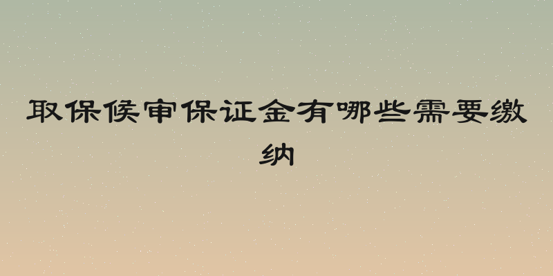 取保候审保证金有哪些需要缴纳