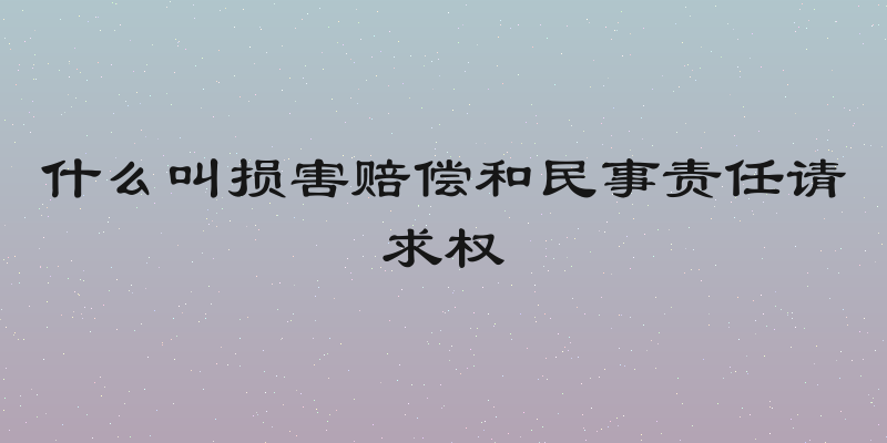 什么叫损害赔偿和民事责任请求权