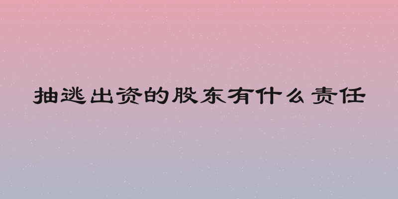 抽逃出资的股东有什么责任