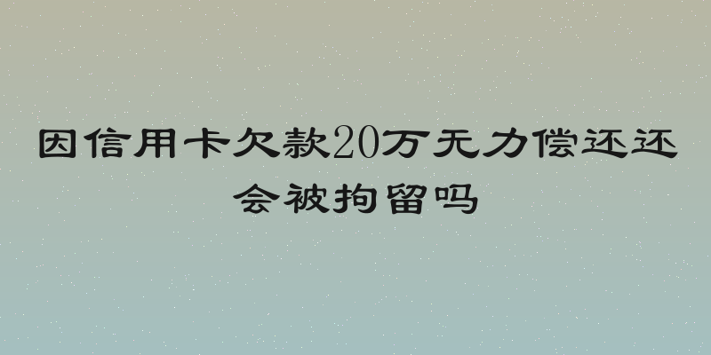 因信用卡欠款20万无力偿还还会被拘留吗