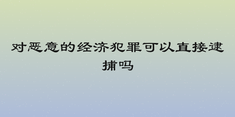 对恶意的经济犯罪可以直接逮捕吗