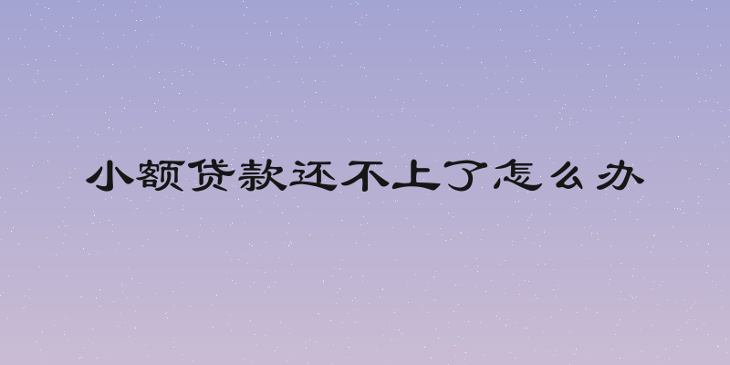 小额贷款还不上了怎么办