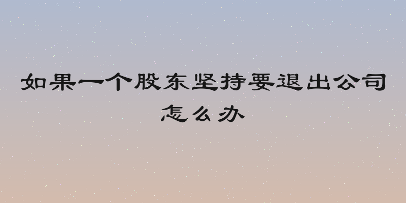 如果一个股东坚持要退出公司怎么办