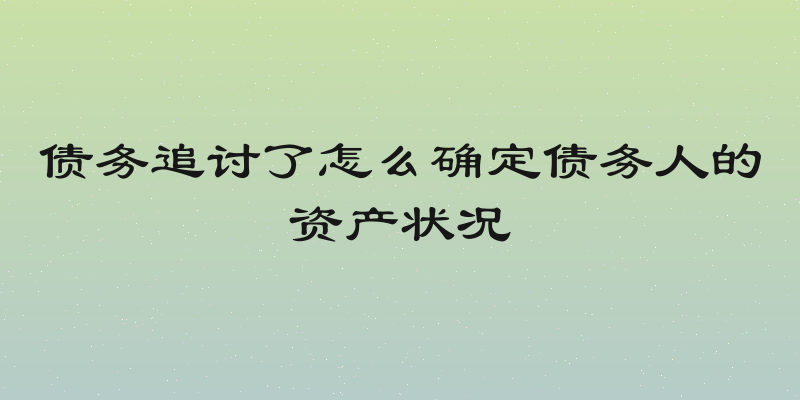 债务追讨了怎么确定债务人的资产状况