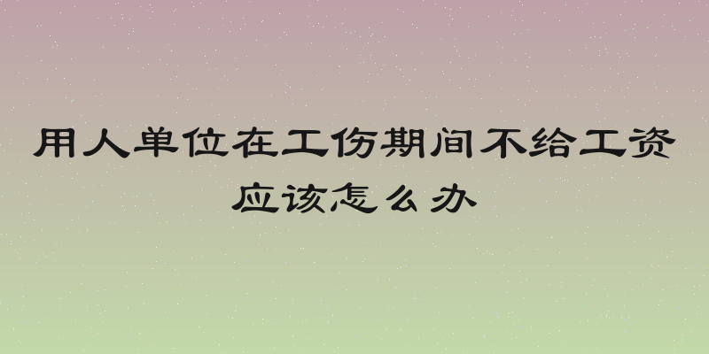 用人单位在工伤期间不给工资应该怎么办