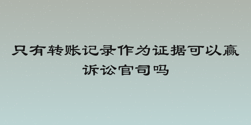 只有转账记录作为证据可以赢诉讼官司吗