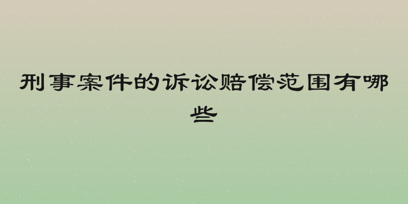 刑事案件的诉讼赔偿范围有哪些