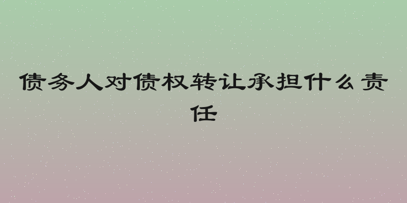 债务人对债权转让承担什么责任