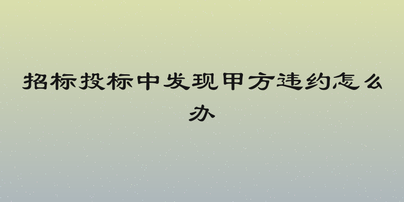 招标投标中发现甲方违约怎么办