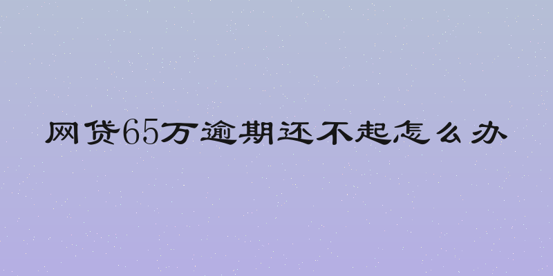 网贷65万逾期还不起怎么办