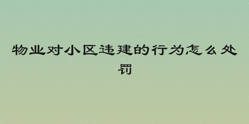 物业对小区违建的行为怎么处罚