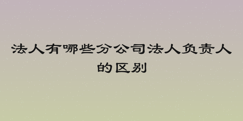 法人有哪些分公司法人负责人的区别