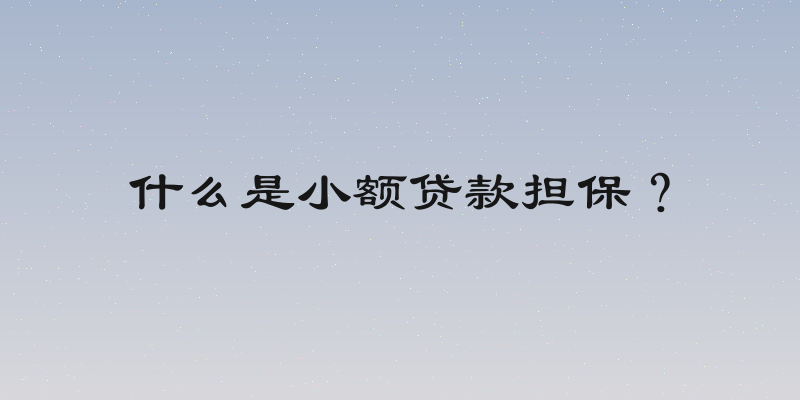 什么是小额贷款担保？