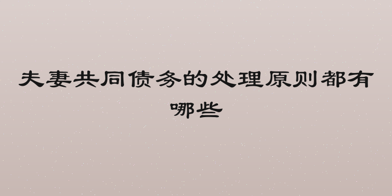 夫妻共同债务的处理原则都有哪些