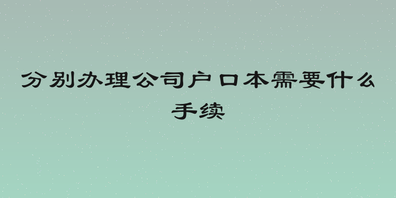 分别办理公司户口本需要什么手续