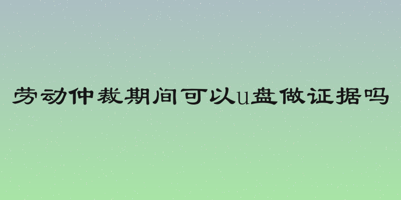 劳动仲裁期间可以u盘做证据吗