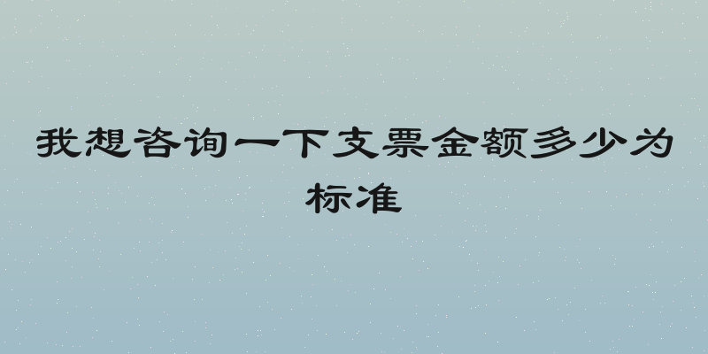 我想咨询一下支票金额多少为标准