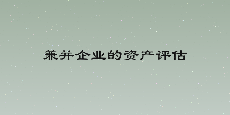 兼并企业的资产评估