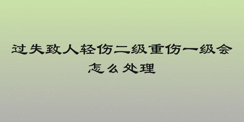 过失致人轻伤二级重伤一级会怎么处理