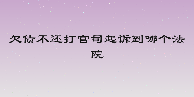 欠债不还打官司起诉到哪个法院