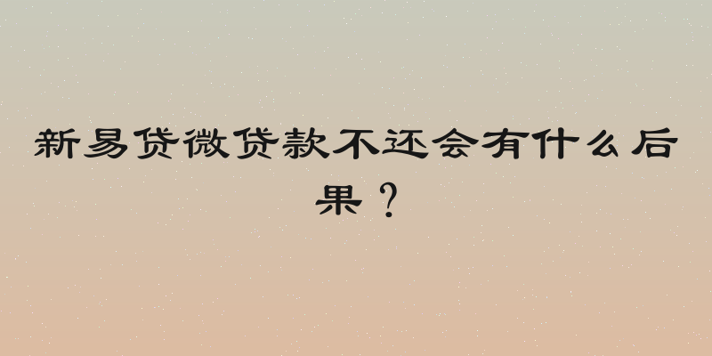 新易贷微贷款不还会有什么后果？