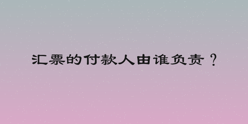 汇票的付款人由谁负责？