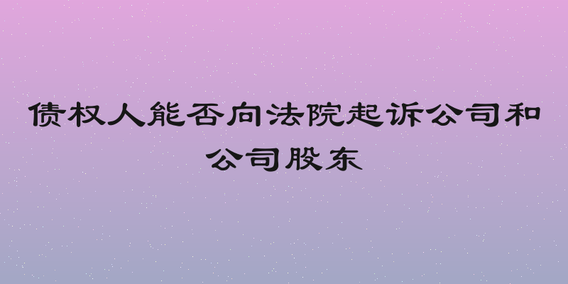 债权人能否向法院起诉公司和公司股东