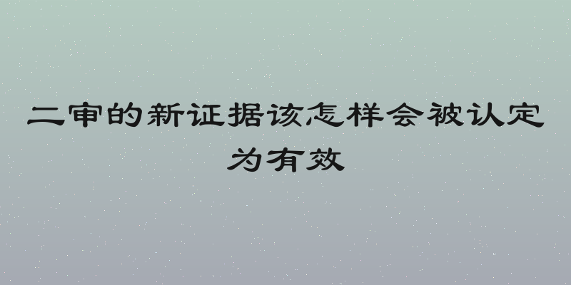 二审的新证据该怎样会被认定为有效