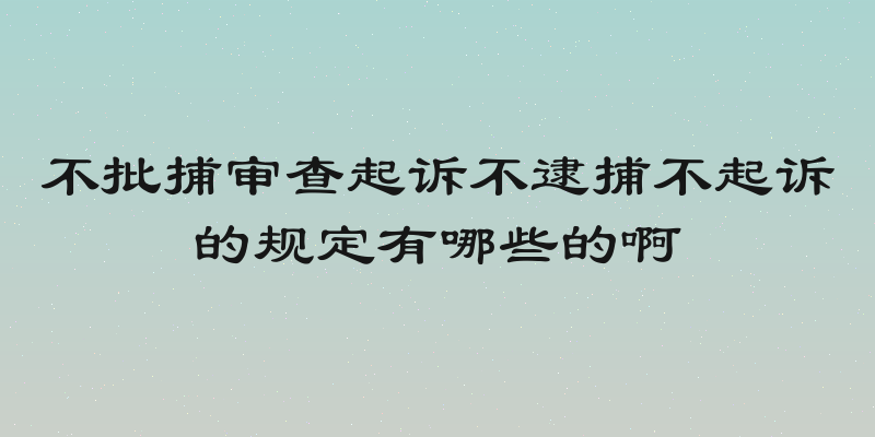 不批捕审查起诉不逮捕不起诉的规定有哪些的啊