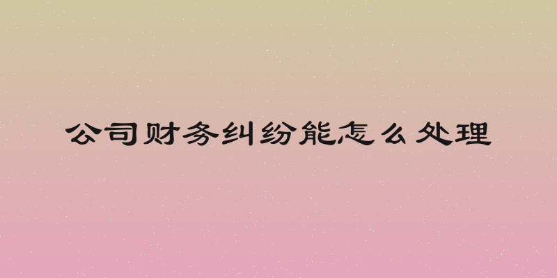公司财务纠纷能怎么处理