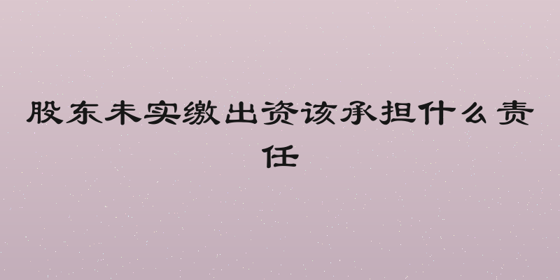 股东未实缴出资该承担什么责任