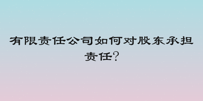 有限责任公司如何对股东承担责任?
