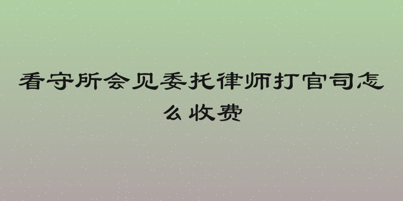 看守所会见委托律师打官司怎么收费