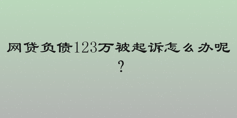 网贷负债123万被起诉怎么办呢？